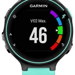 Garmin Forerunner 235 Running GPS Watch - 1.23" Di